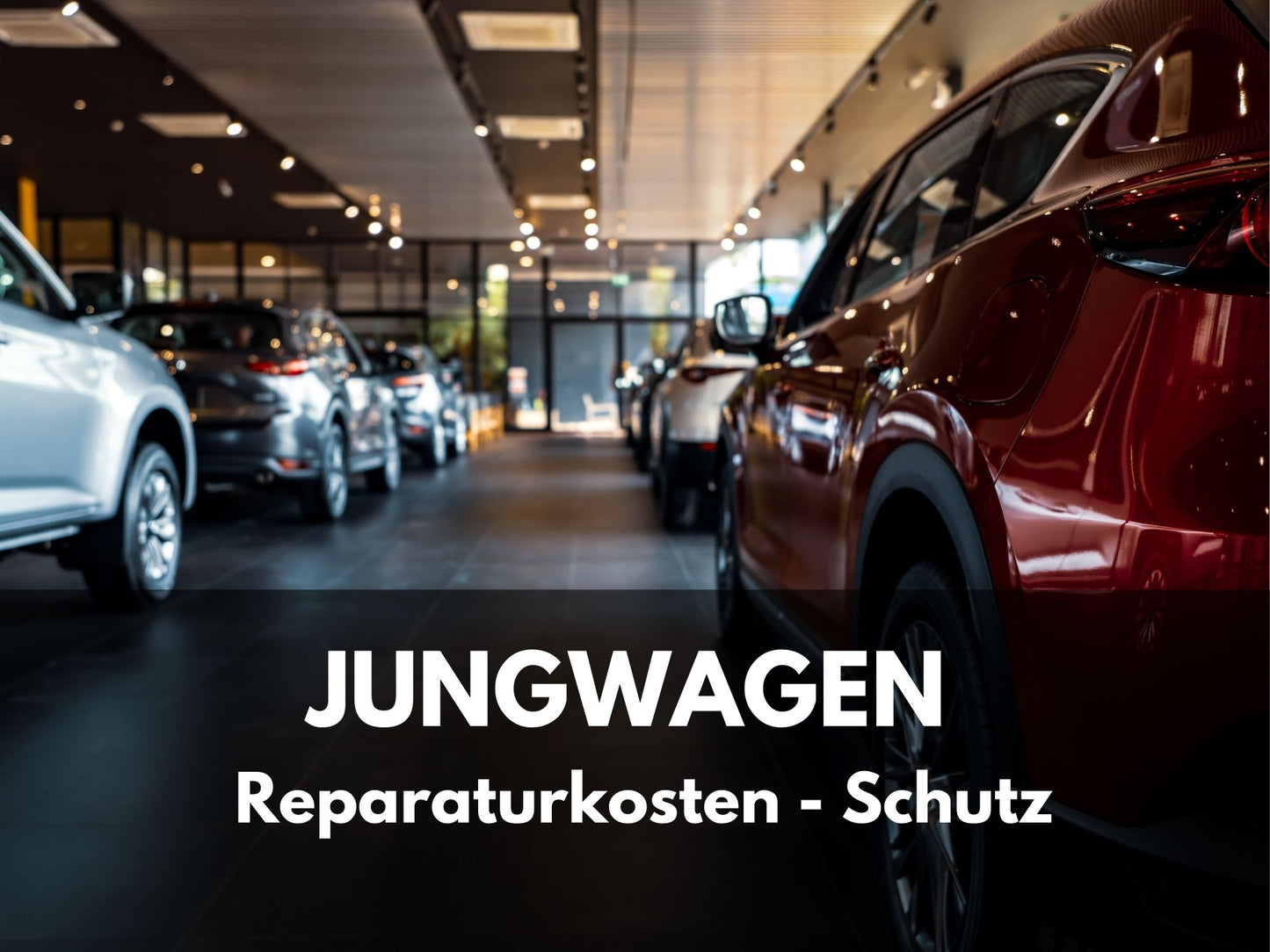 Jungwagen Reparaturkosten-Schutz (Alter 1-5 Jahre)
