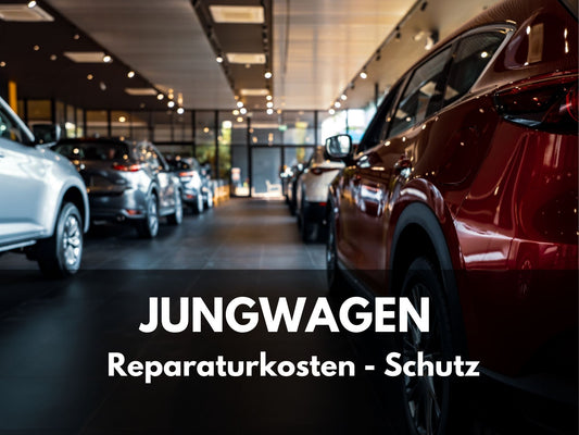 Jungwagen Reparaturkosten-Schutz (Alter 1-5 Jahre)
