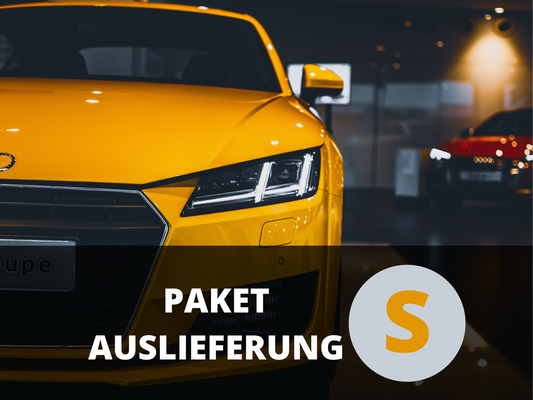 Paket Auslieferung S
